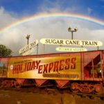 sugar cane train